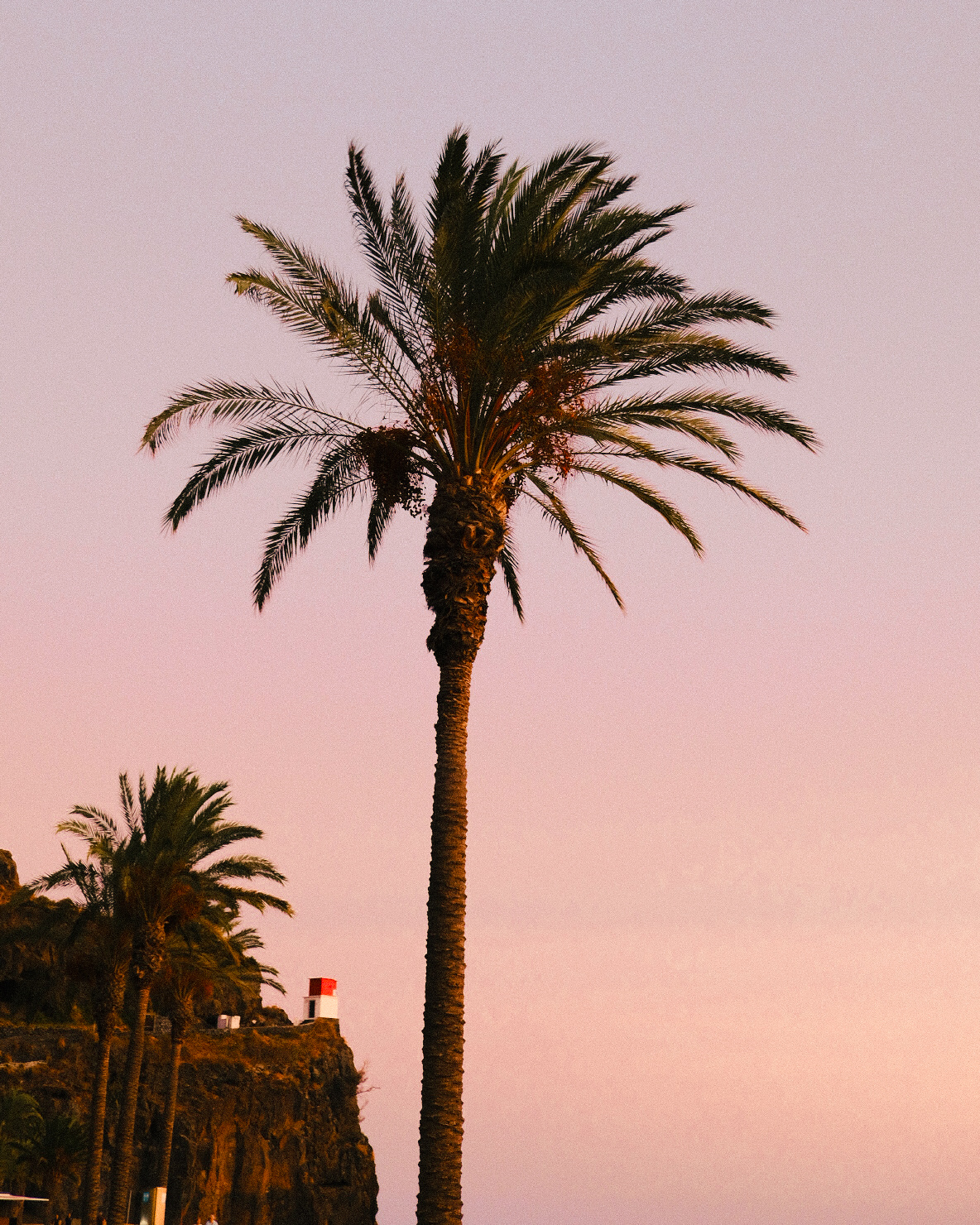 From Grand Prix Roads to Goat Paths: A Journey Through Madeira